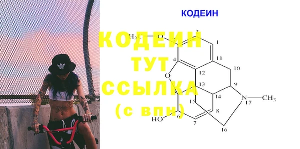молекула духа Верхний Тагил