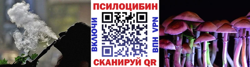 Галлюциногенные грибы Cubensis Купить Воткинск